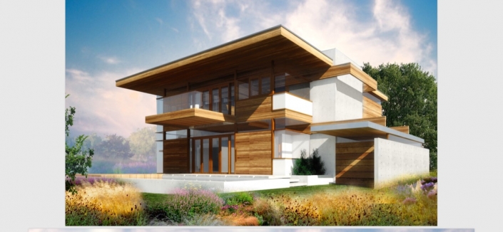 render01_copyright_triesch